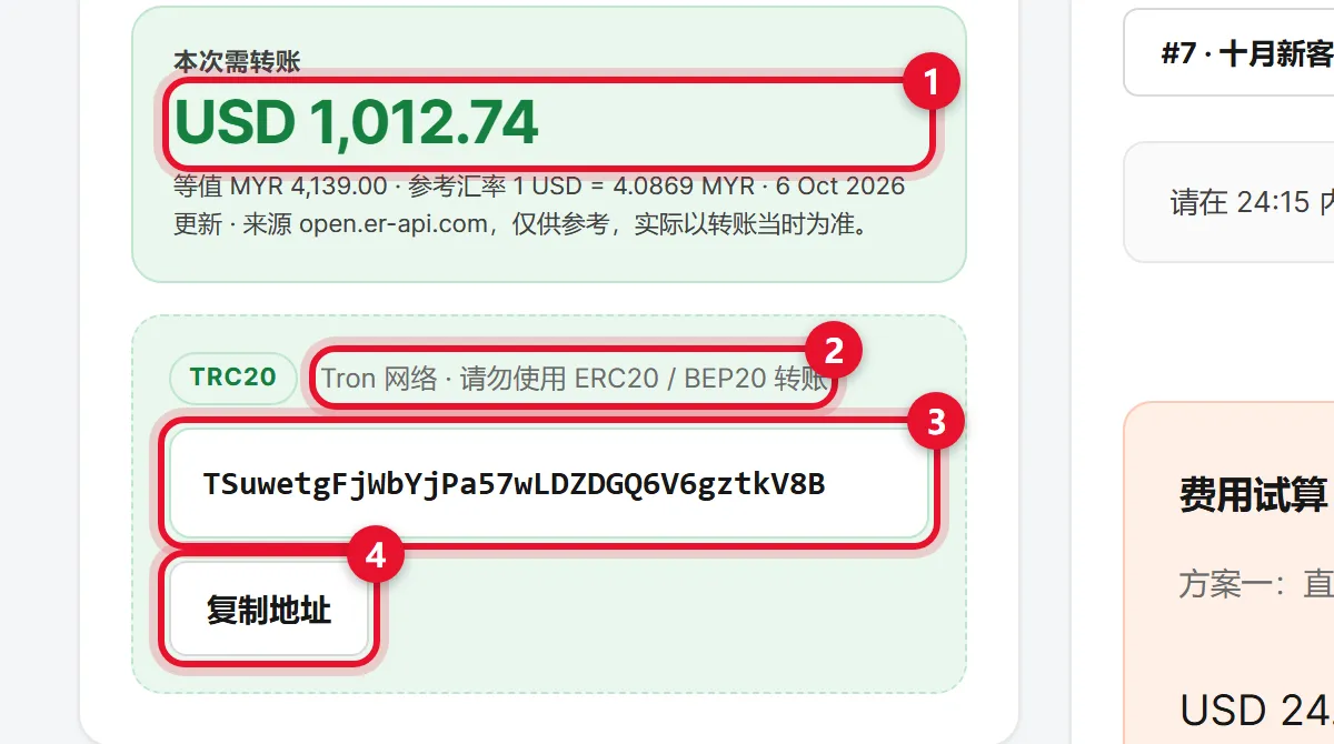 用 USDT 付款截图